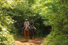 USA-Georgia-Heartland of Georgia SC Ranch